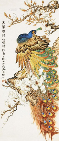 孔雀和凤凰