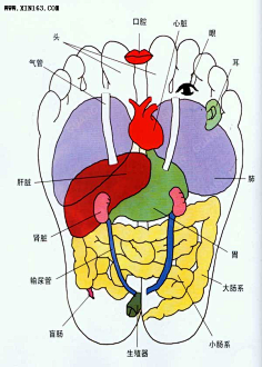 中医调理