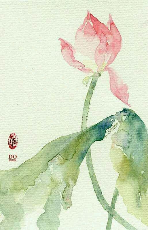 蓝莲花