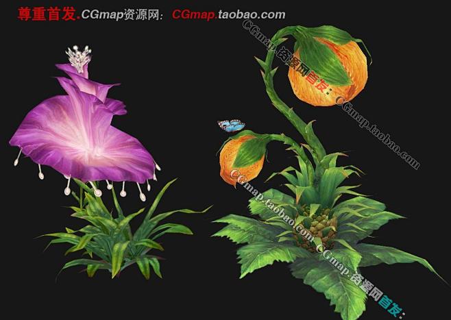 植物手绘