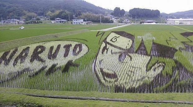 大地艺术