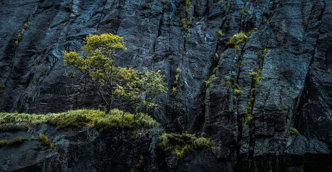 山石石壁石头纹理石头材质草地杂草树木