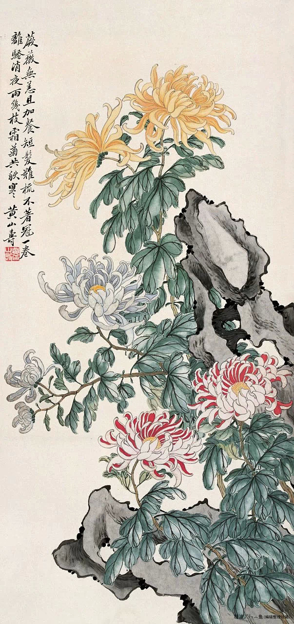 工笔画:菊花