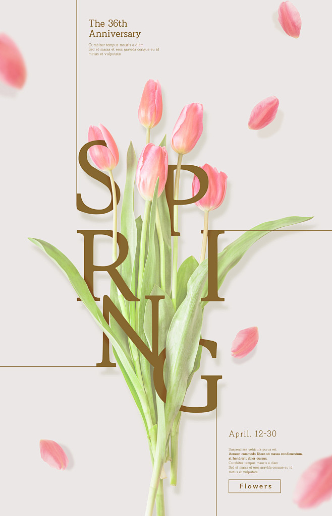 郁金香植物花卉个性排版鲜花主题海报设计psdti381a0207