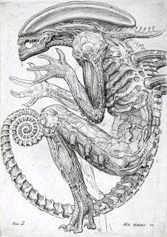 专栏异形
