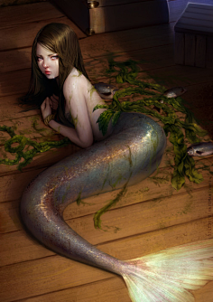 海的梦幻.美人鱼
