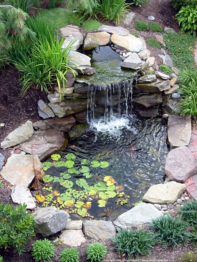 小池塘的做法-花瓣网|陪你做生活的设计师 | s to