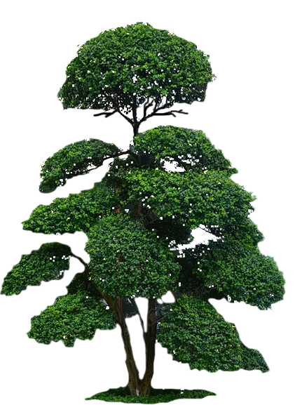 景观树-花瓣网|陪你做生活的设计师 耐候钢在景观中的运用 集合