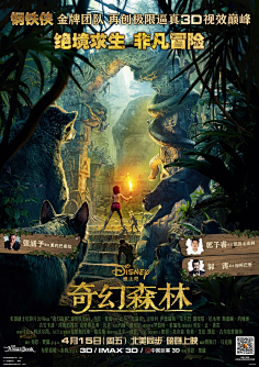 com 奇幻森林 电影海报 正式海报(中国)  movie.mtime.com