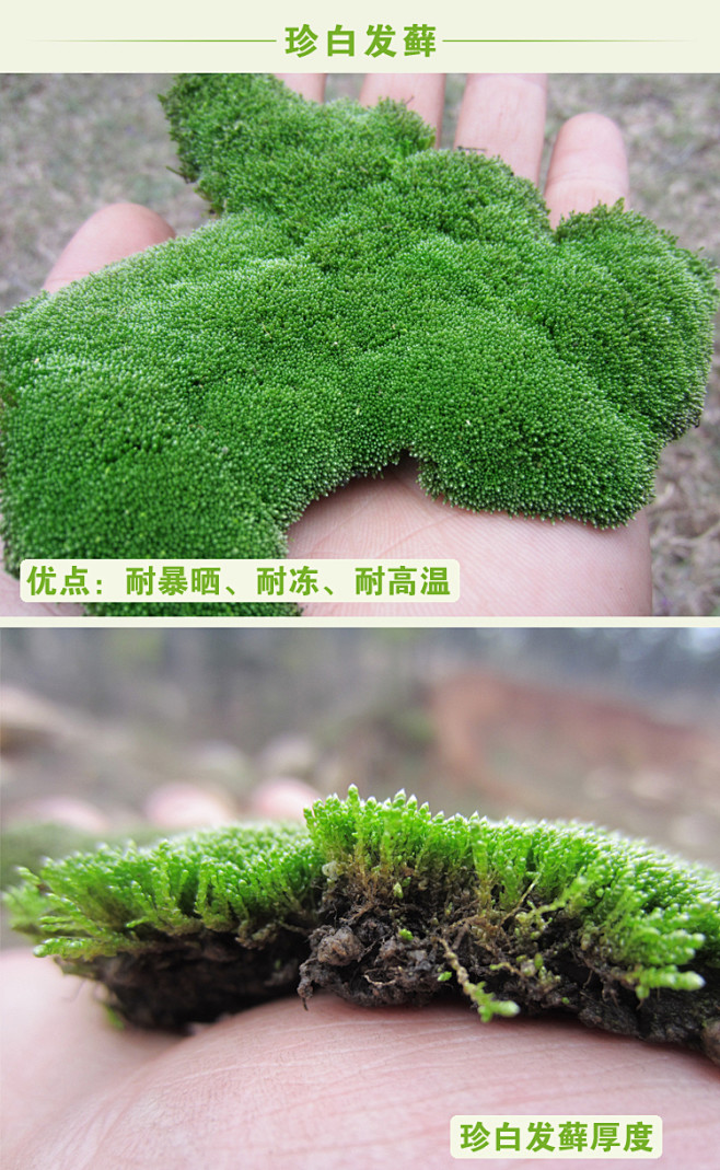 砂石