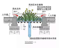 园林景观雨洪管理剖面分析