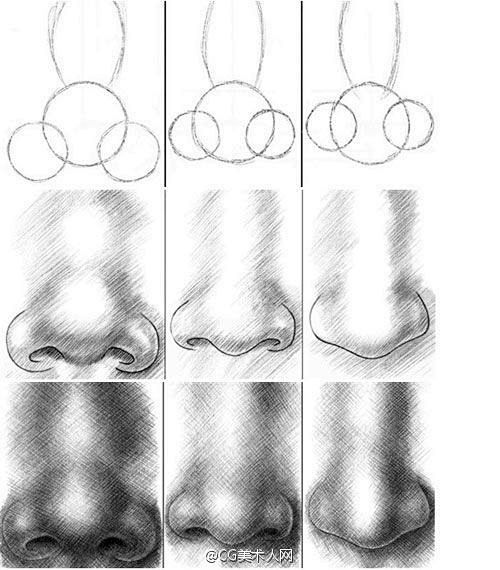 绘画参考鼻子基础结构画法