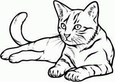 猫简笔画