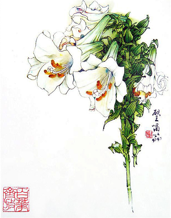 郑乃珖百花画集