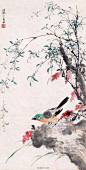 国画写意枇杷