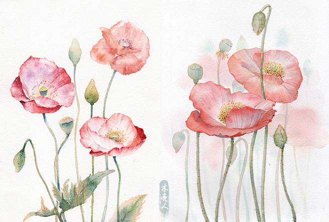 木壳人_24节气,插画,水彩插画,手绘_涂鸦王国插画 彦诺