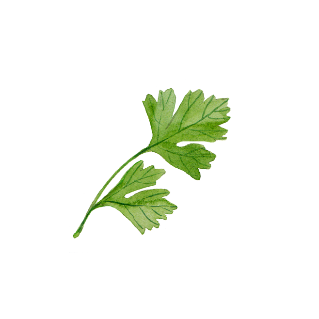 艾草2