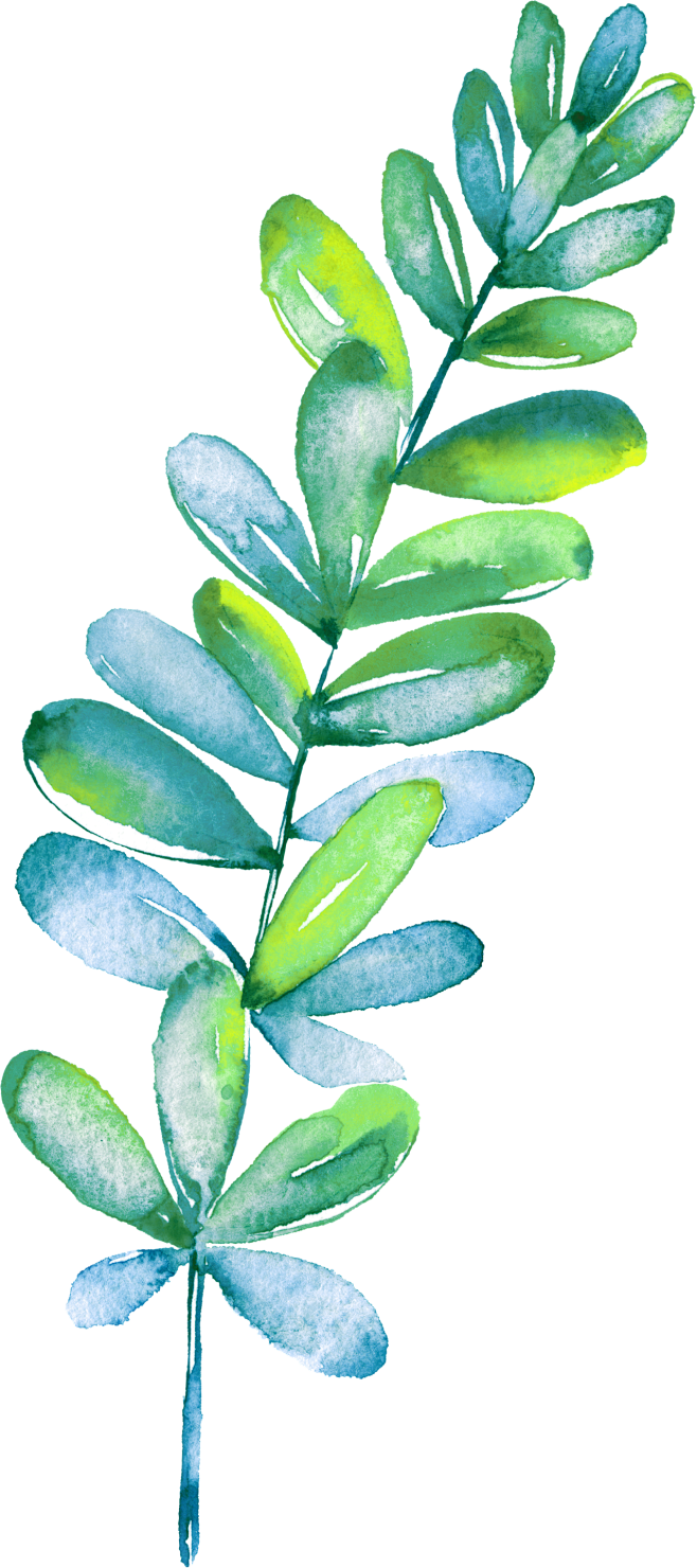 素材绿植草木
