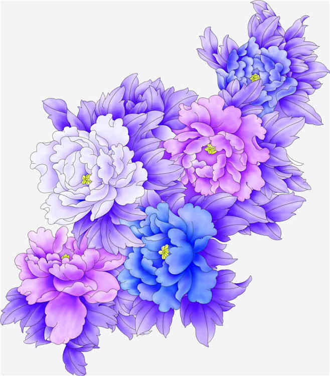 27oihm紫色手绘牡丹花