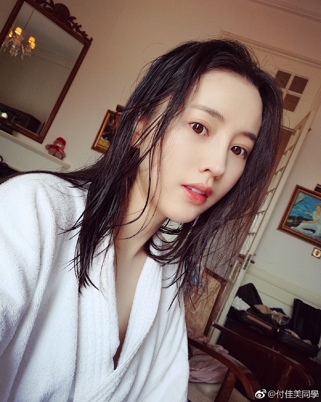 付佳美