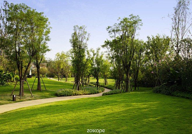 怪我咯咯咯咯咯咯采集到草坪空间  采集 景观绿化#zoscape#植物景观