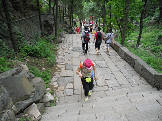 xiaqing5采集到去山东爬山看海->最爱是