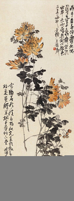 清心山绿色产业采集到经典山水