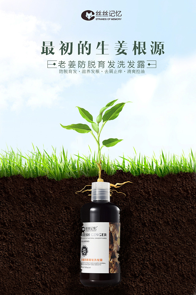丝丝记忆洗发水生姜洗发水洗发露主图淘宝洗头水海报微商宣传图片微信