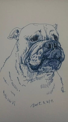 g钢笔画