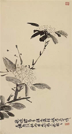 徐渭