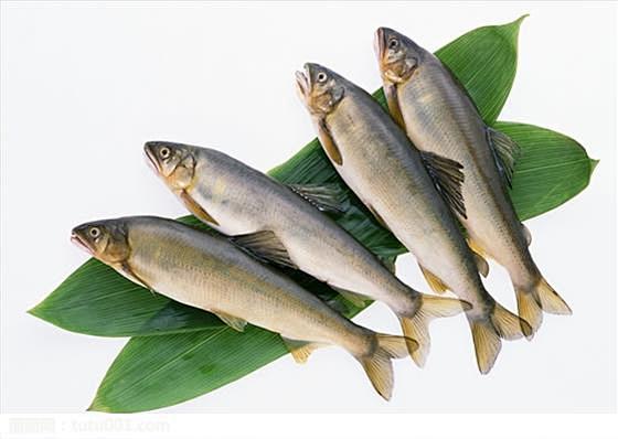 海鲜鱼肉图片