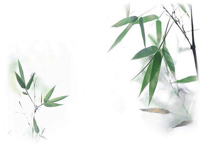 古风素材古风底图古风花古风植物唯美古风底图古风纯排底图古风纯排