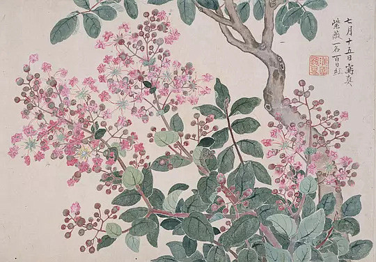 草花
