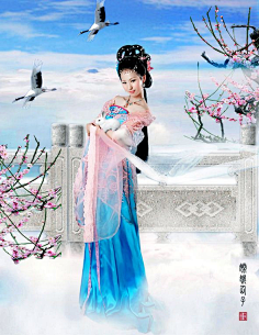 影集花瓣留念采集到经典古装 嫦娥奔月美少女 花仙女娃娃玩偶