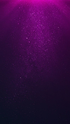 丨purple丨紫色