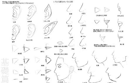 【解剖类】五官画法