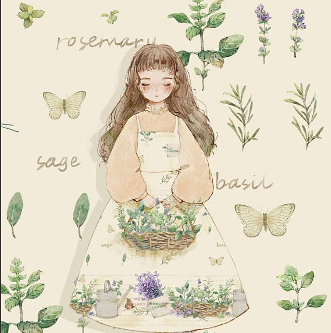 绘本,插图