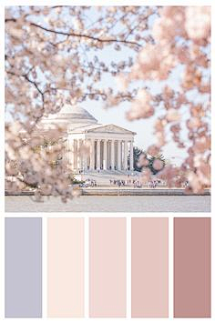 membery采集到色卡 采集 pinterest.com urban color inspo.