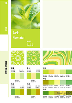 qq.com 同类色-邻近色-初生-黄绿色