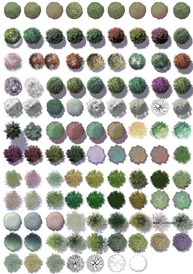 com psd彩平 精美植物平面图素材下载 zoscape.com