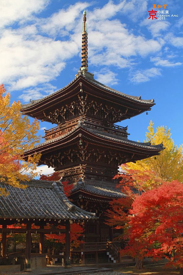 【日式建筑】照片