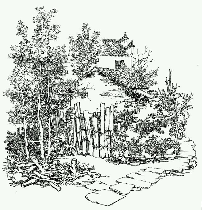 素描风景-花瓣网|陪你做生活的设计师 | 手绘花卉背景