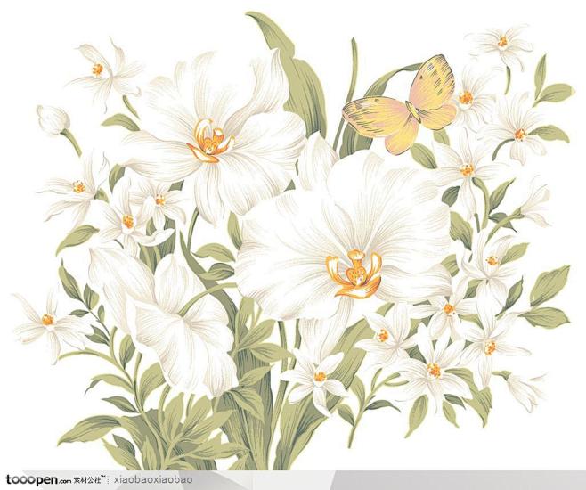手绘水彩画白色花百合花鲜花和蝴蝶花束图片素材下载现在加入素材公社