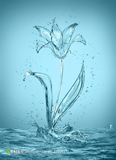 水珠,水溅,水波