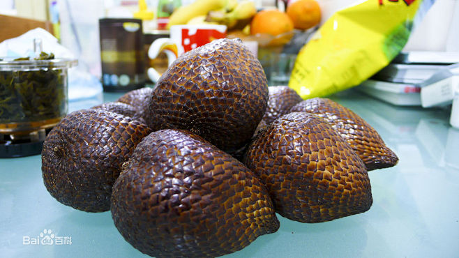 lacca)植物,英文名为"salak"或"snake fruit",拉丁学名为"salacca