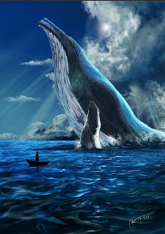 海豚鲸鱼与梦想