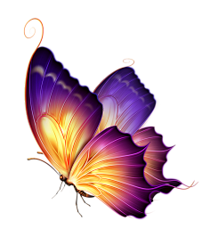 png:免抠漂亮的手绘重彩蝴蝶