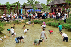 衎衎衎采集到乡村旅游意向