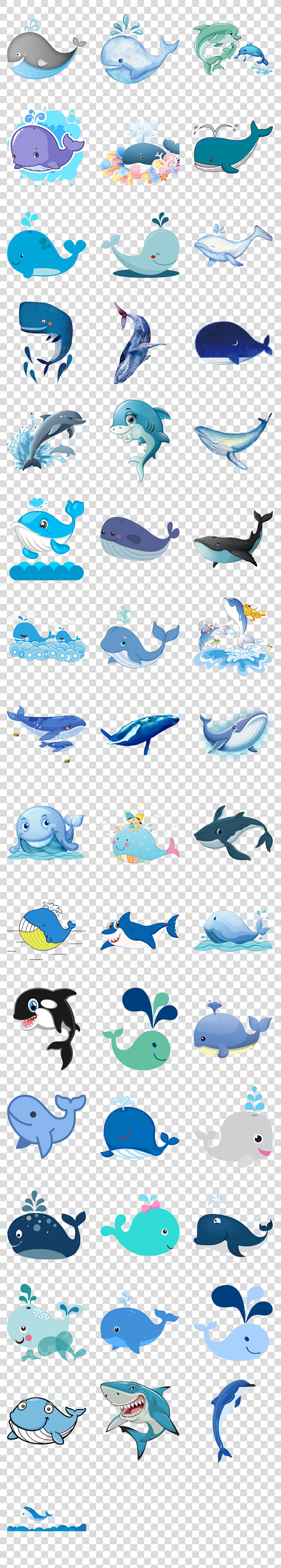 海洋鲸鱼海豚图片免抠png透明图层素材卡通鲸蓝鲸鲨鱼大海豚白鲸摄影