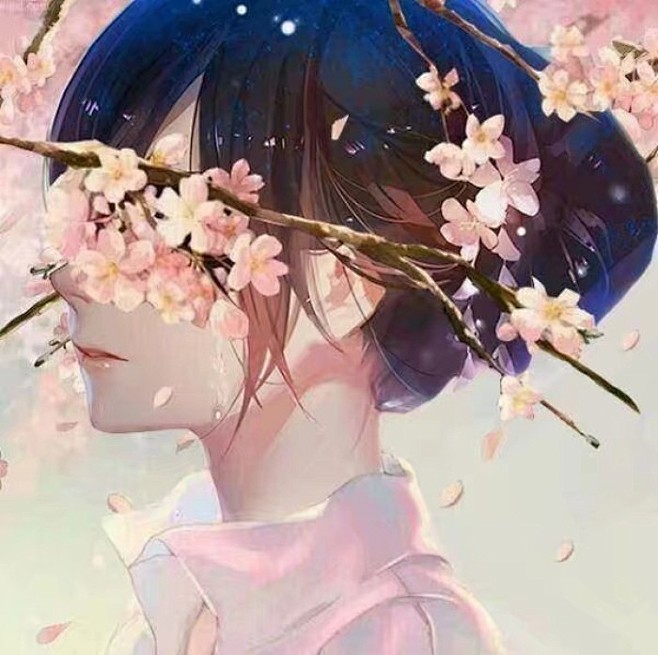 动漫